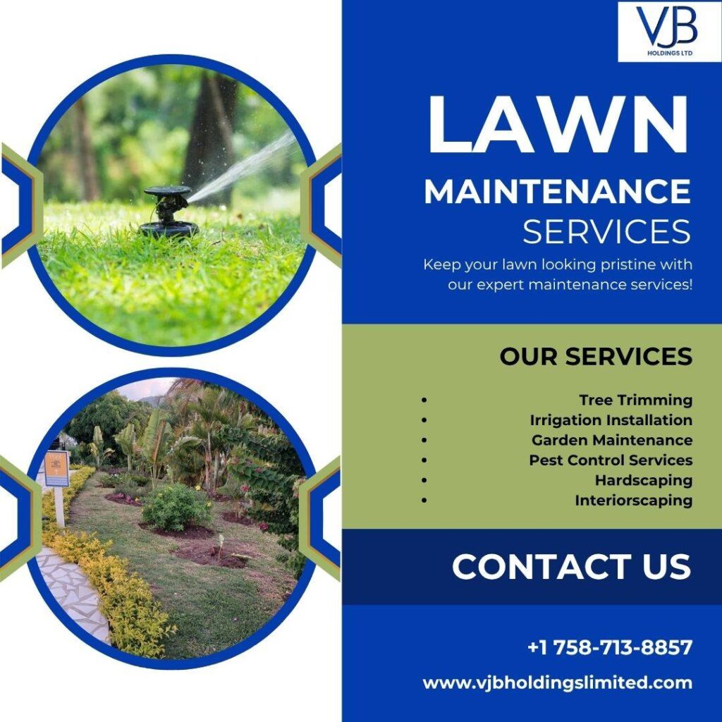 How to Differentiate Between Lawn Maintenance Services St. Lucia and Hardscaping Solutions